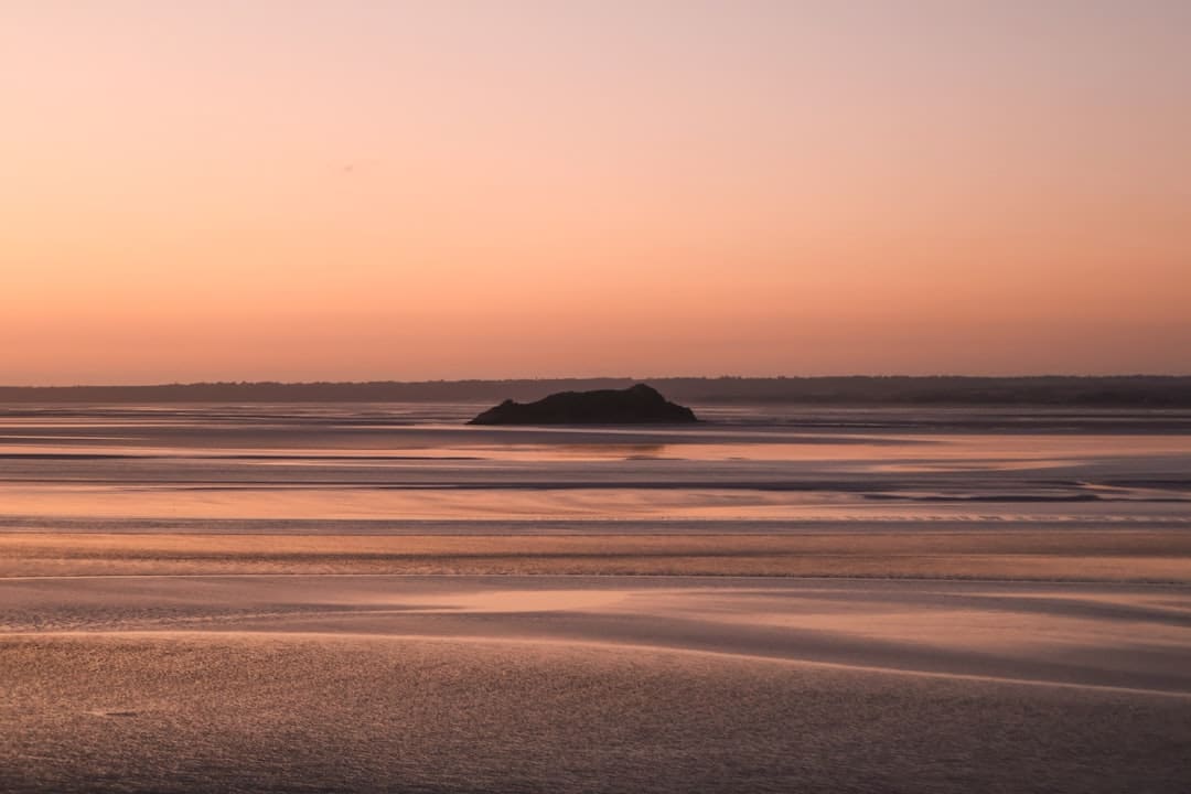 阿里重回“古典阿里”